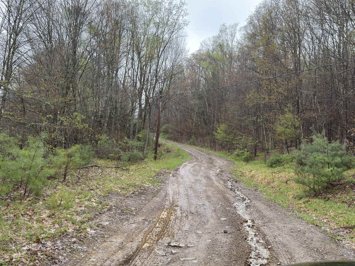 Grunder Run - FS 245 trail photo