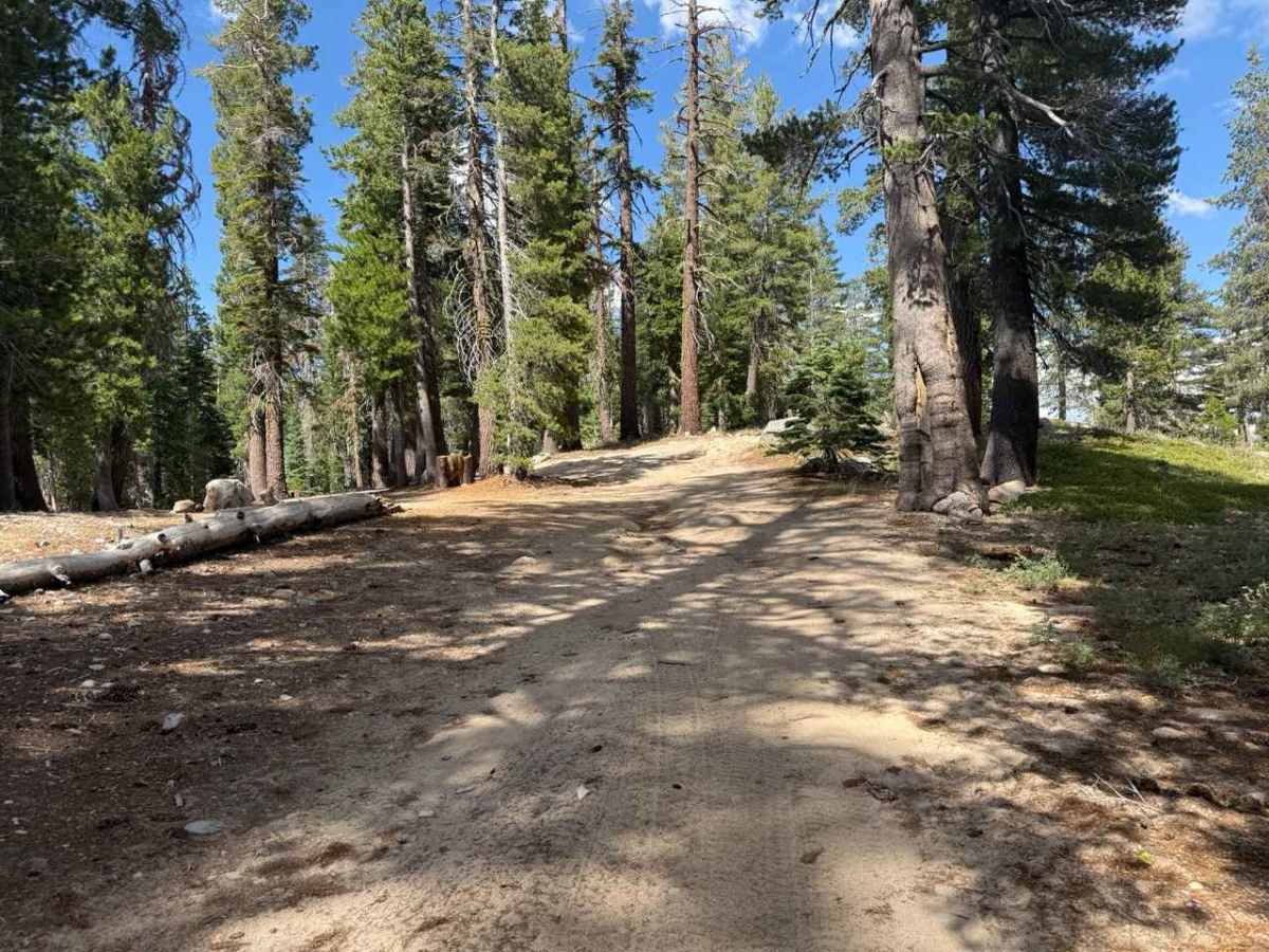 Tamarack Lake Spur - FS 31097A photo 6