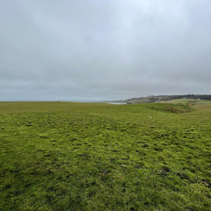 Near Slope Point Walk Near Slope Point Walk