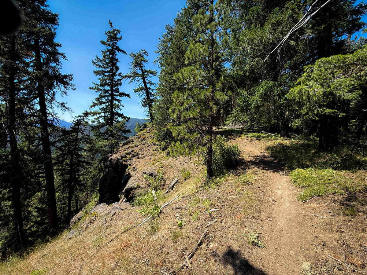 West Quartz Creek Loop - 952 trail photo