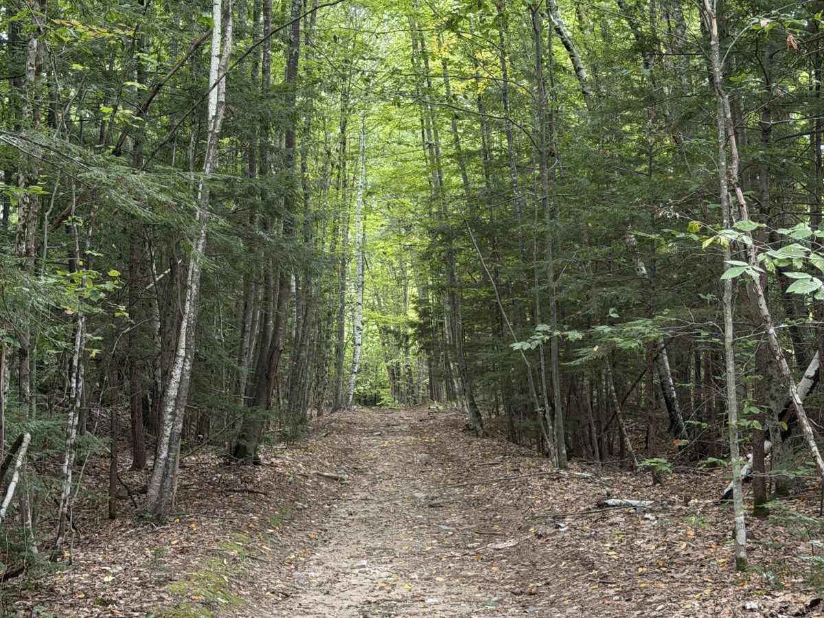 Sawyer Road photo 3