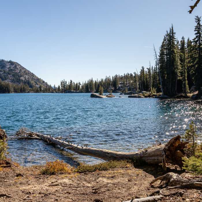 Near Aloha Desolation Trail (#17E40)