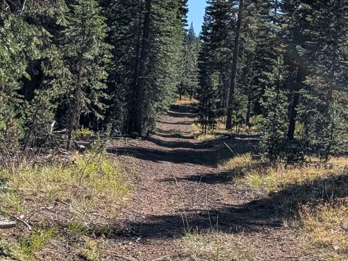 Rap Lost Iron Well - FS 43N35 photo 5