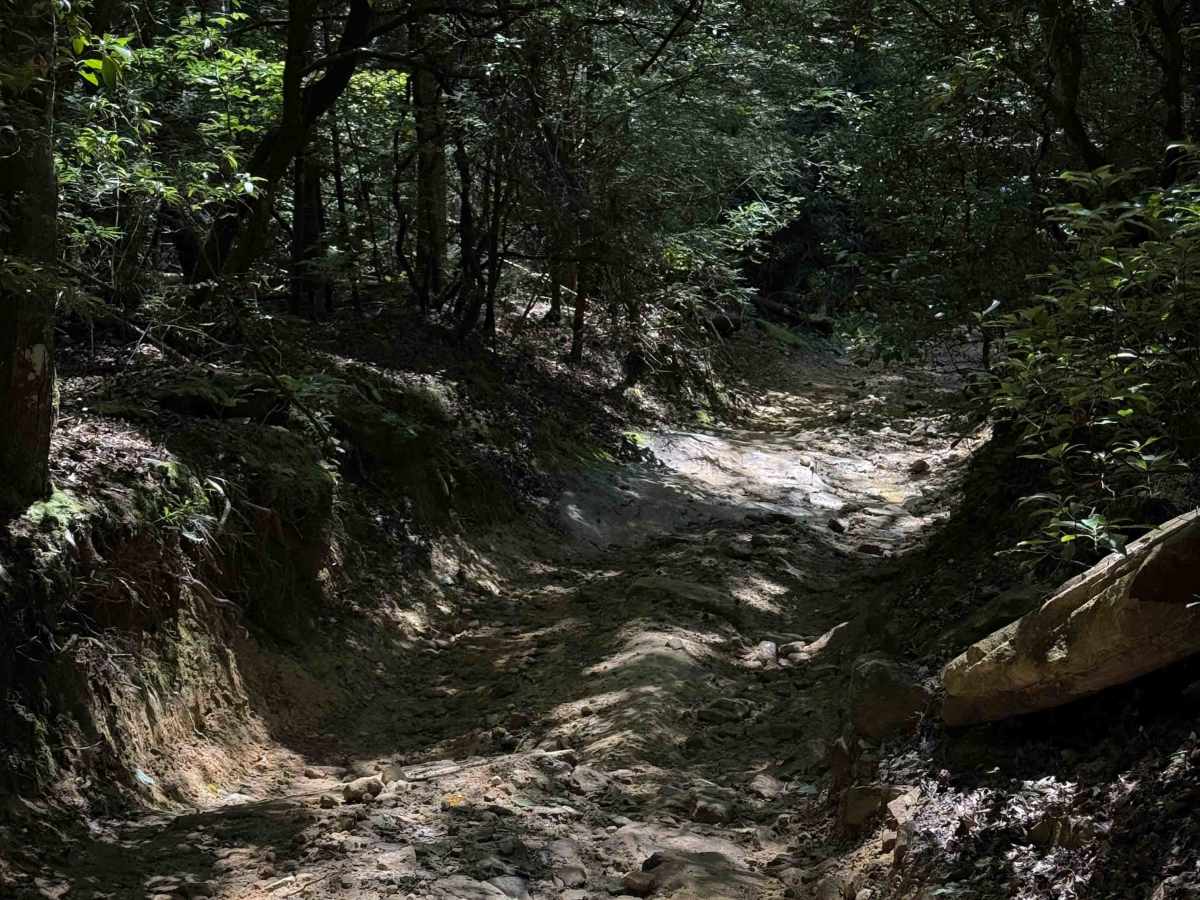 Tram Branch Trail photo 2