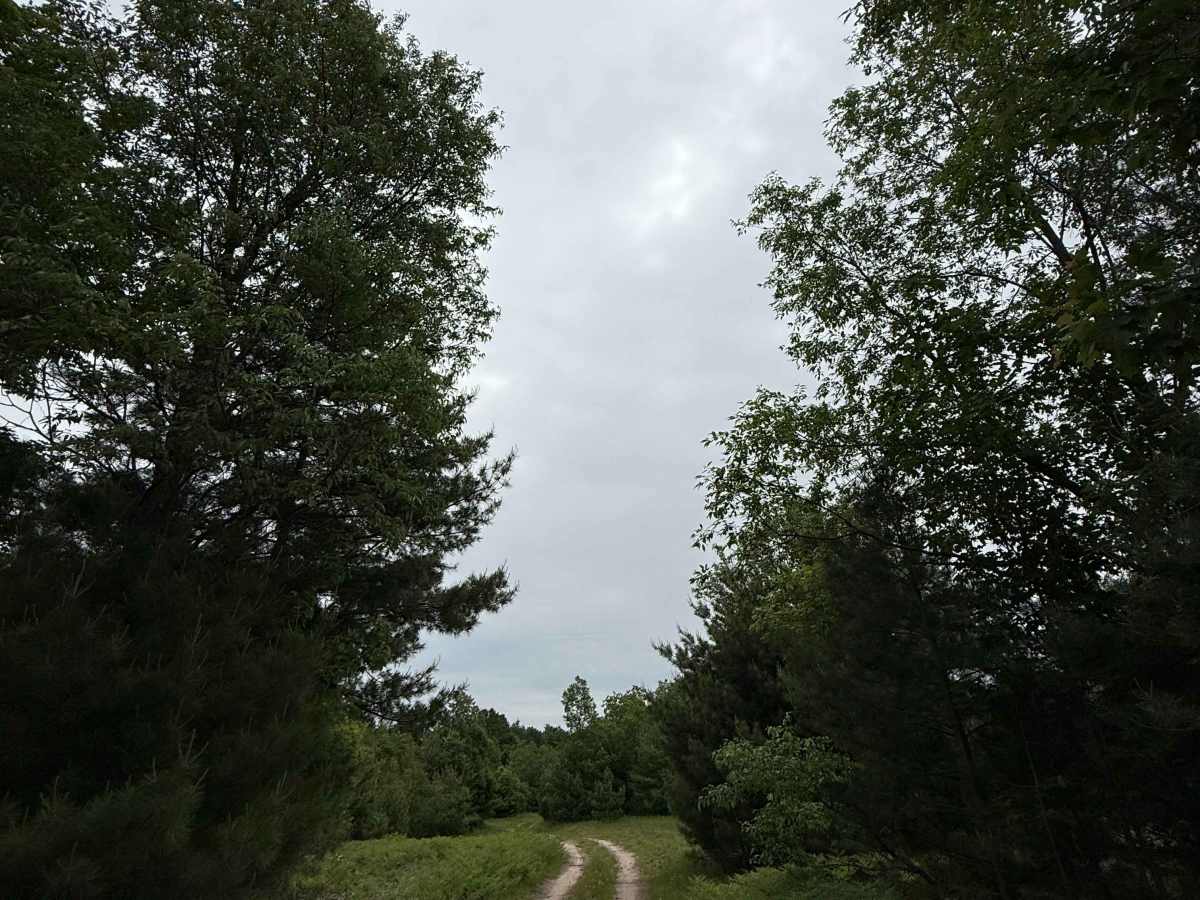 Old 72 Trail photo 6