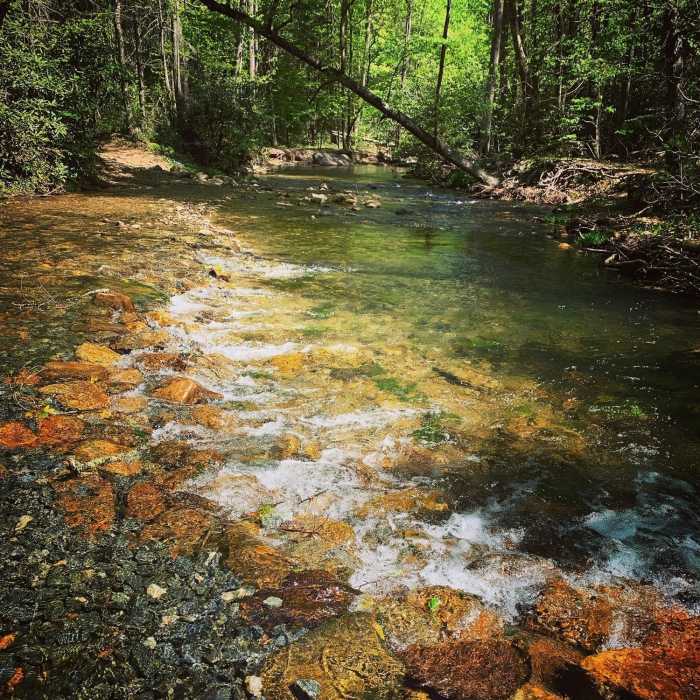 When the trail goes through the water... so do you! This was a gorgeous cut through a shallow creek. Near South Mountains Eastern Loop