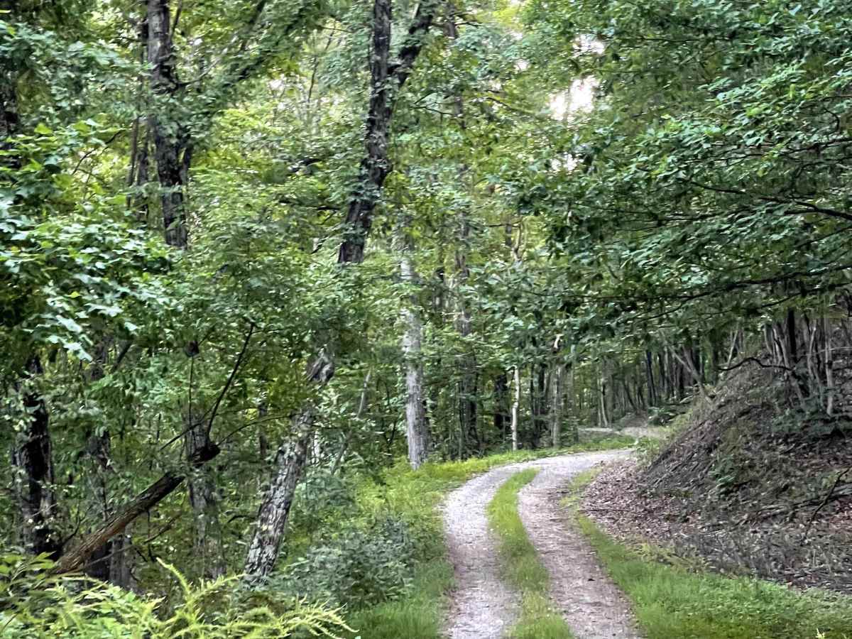 Price Mountain photo 4