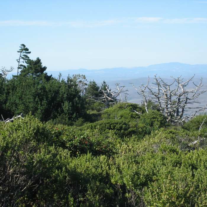 Near Inverness Ridge