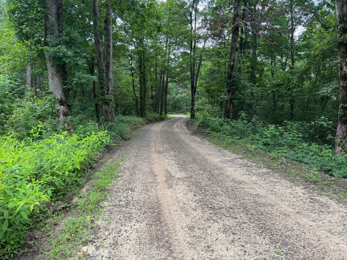 Wiemer Road photo 2