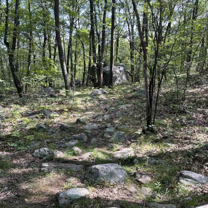 Near Waving Willie Loop Near Waving Willie Loop