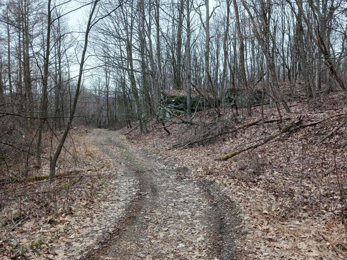 OHV 50 - Rock Run Recreation Area photo 3