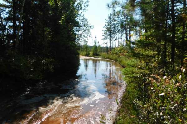 Culhane Grade Trail