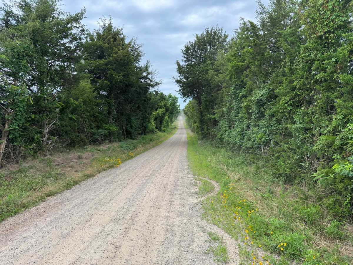 County Road 3491 photo 2