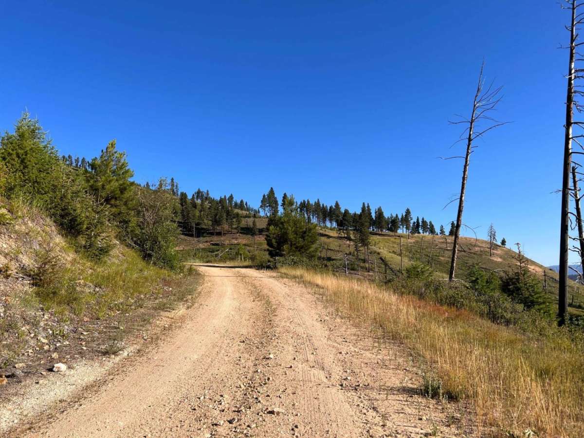 Waugh Gulch photo 5