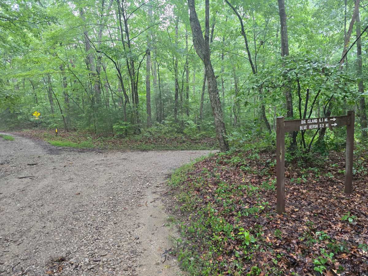 Laurel Ridge Road - FS 637 trail photo
