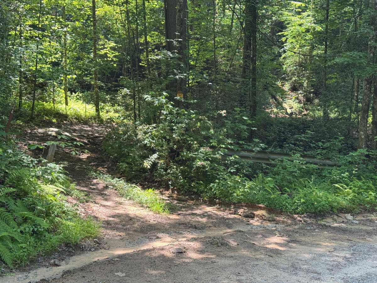 Slick Shoals - FS 24 trail photo