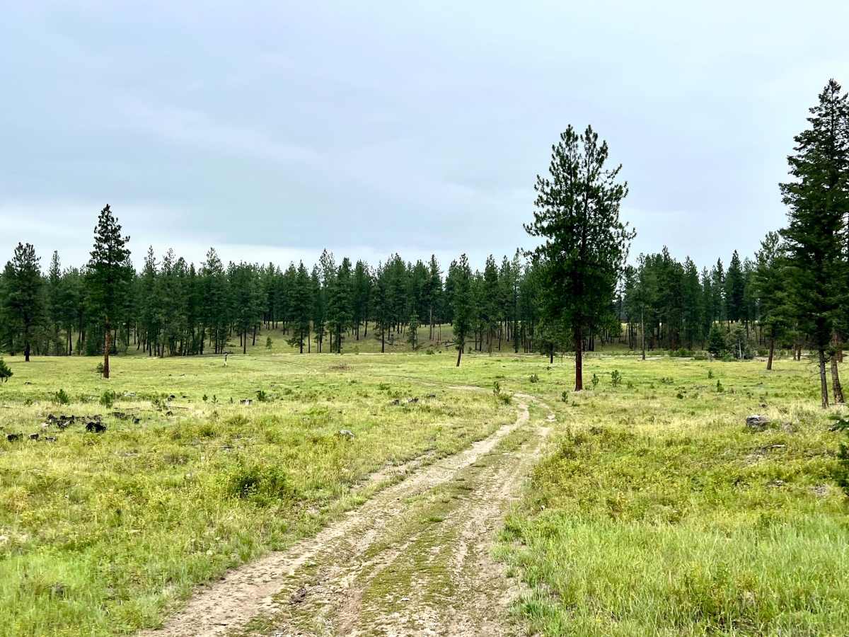Grassy Meadows photo 5