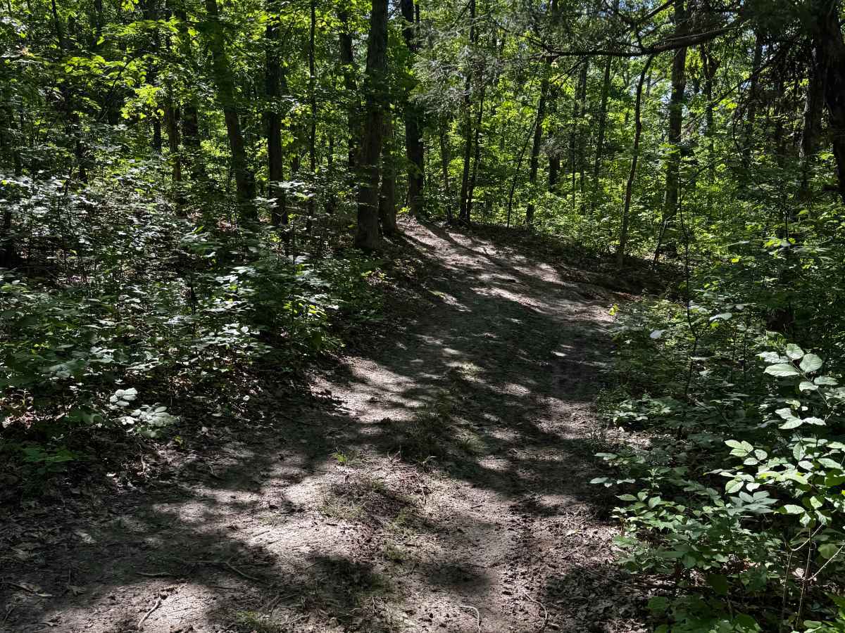 Trail Cut Thru trail photo