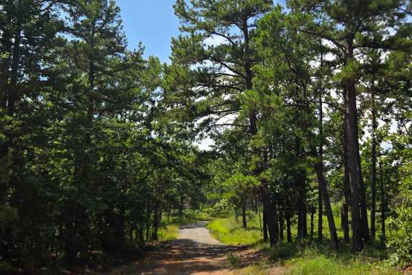 Line Ridge Road