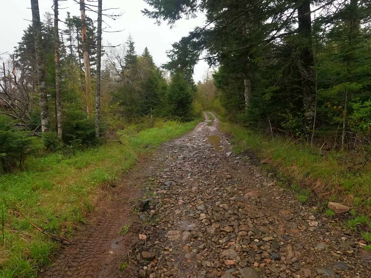 Farm Lake Trail photo 6