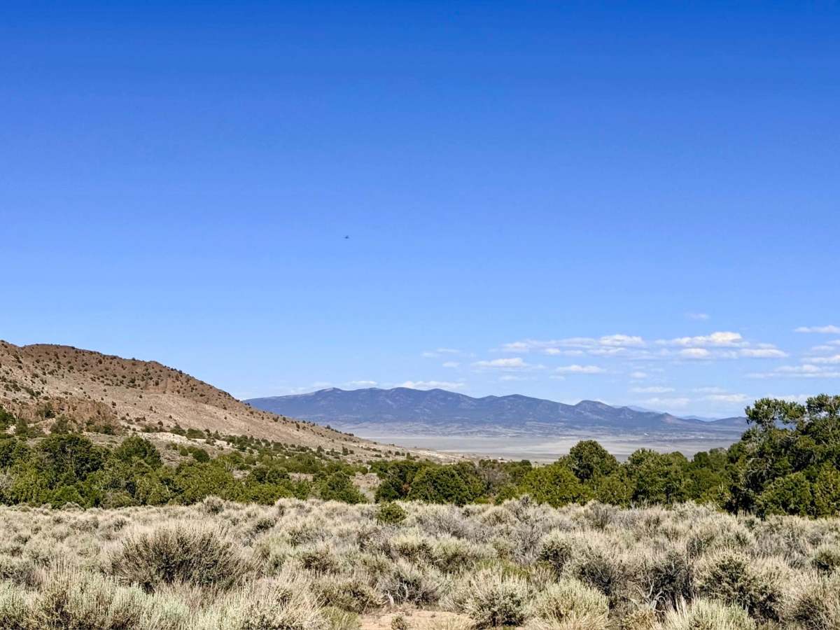 North Wallace - Allison - FS 43004 photo 6