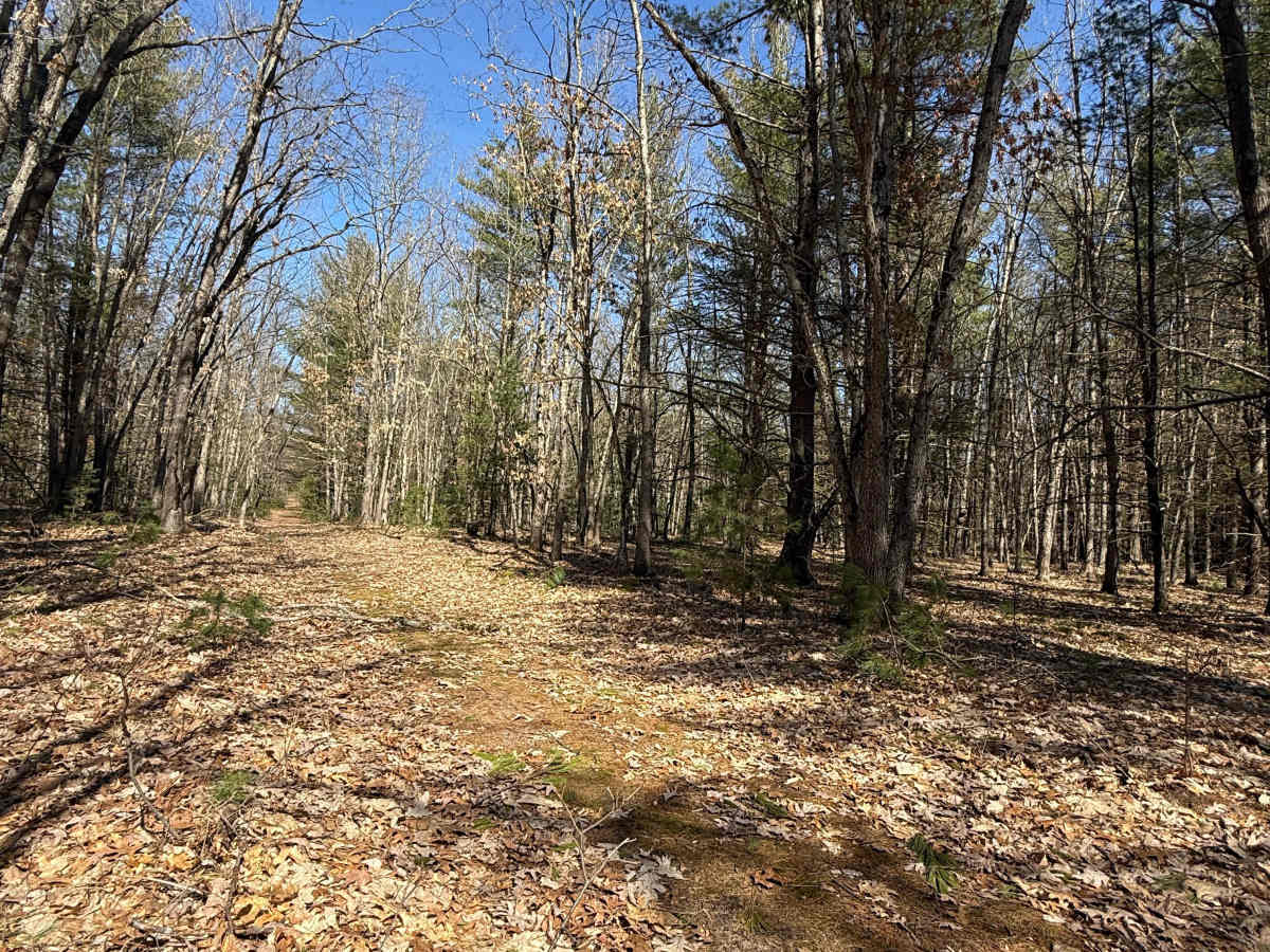 FS 8219 trail photo