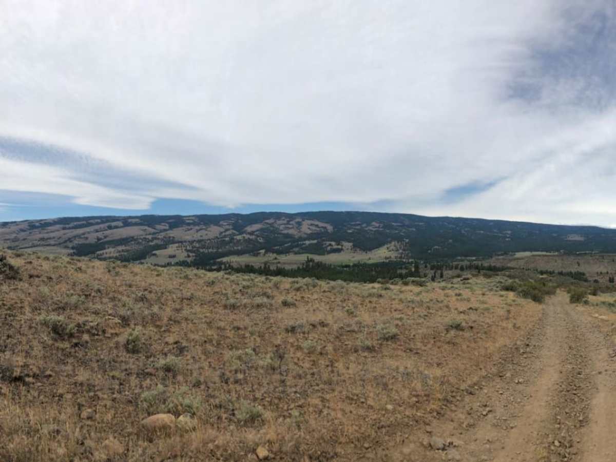 Umptatum Ridge Road trail photo