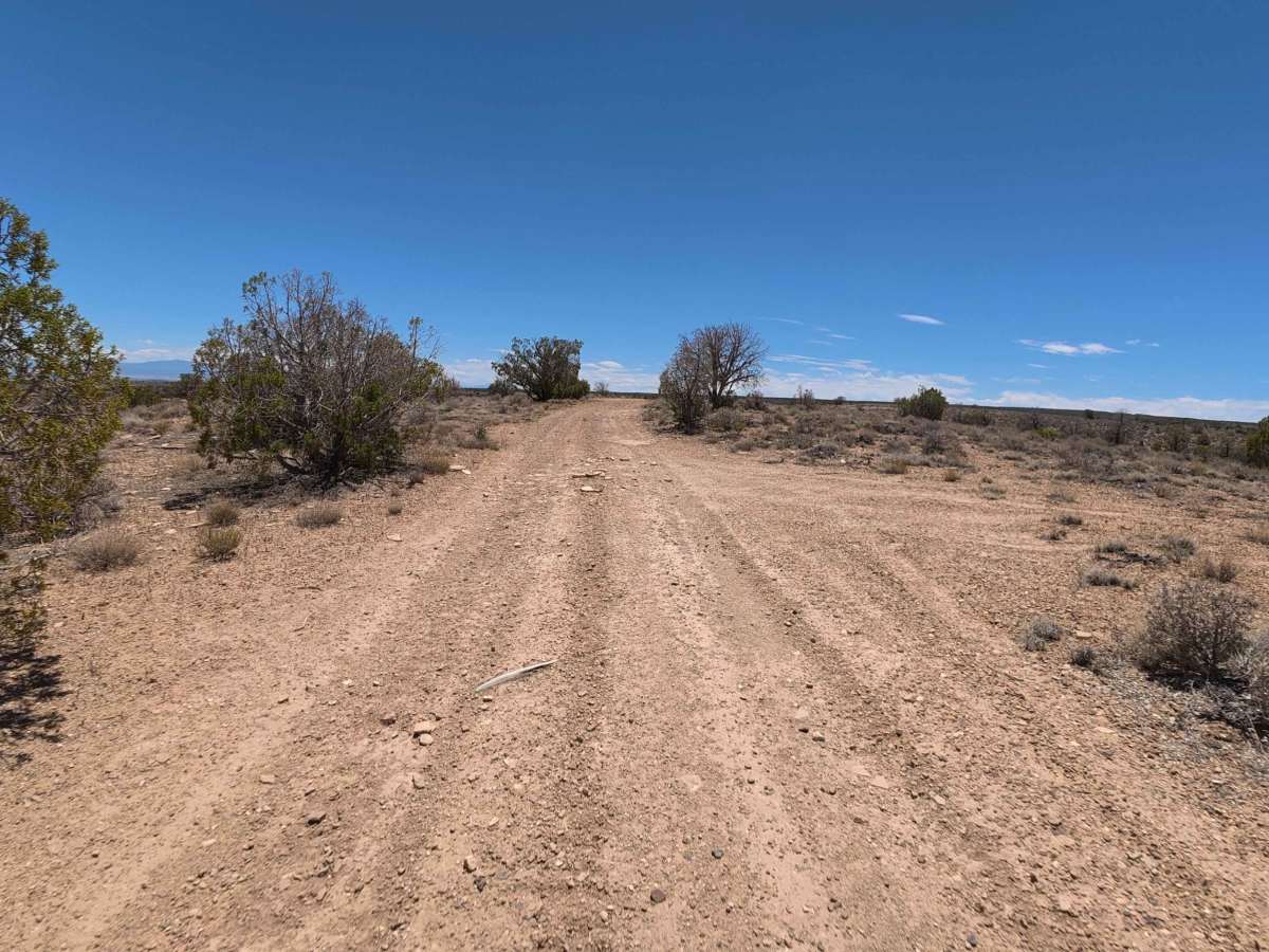 Pick Ax Road photo 4