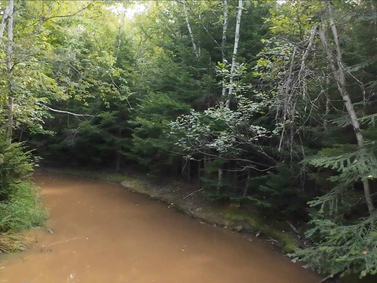 Beaumont North  photo 5