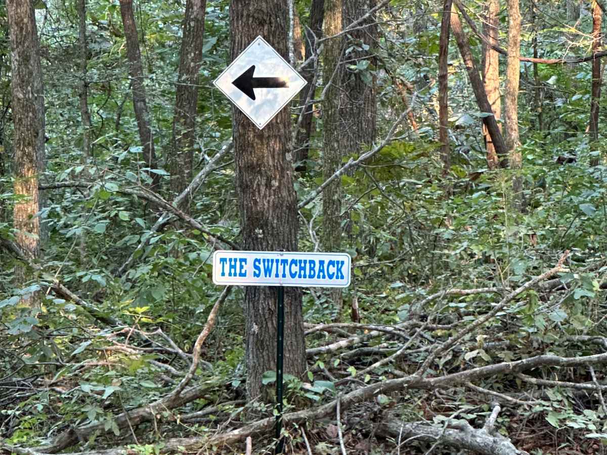 The Switchback trail photo