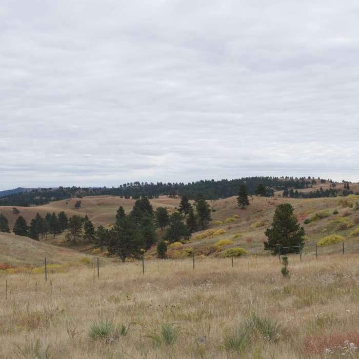 Near Prairie Vista Trail