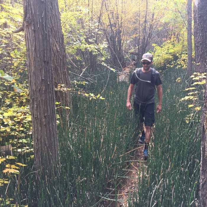 Walking through the horsetail on Hammond Canyon Trail. Near Hammond Canyon (012)