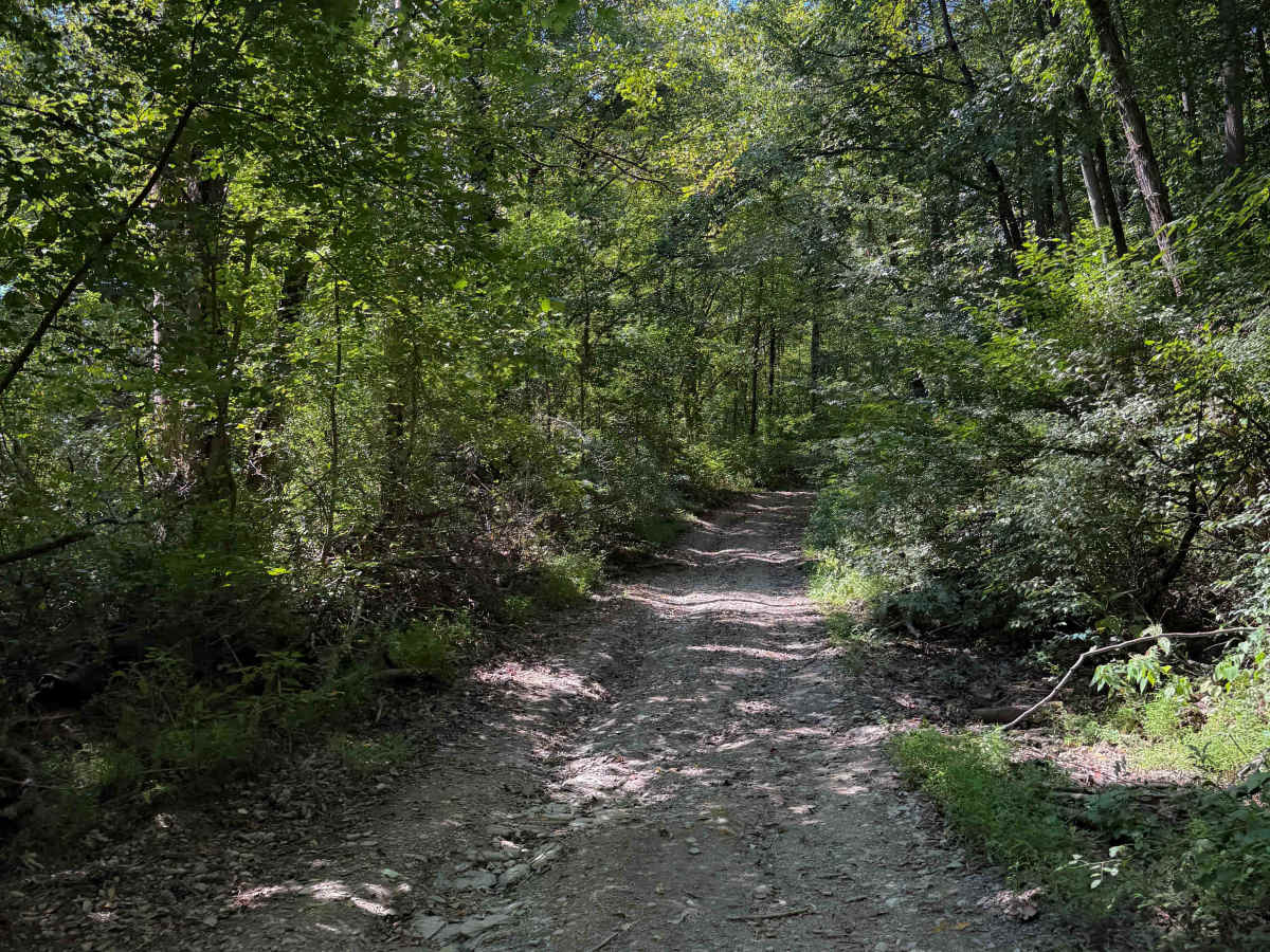 Laco Road 12   photo 3