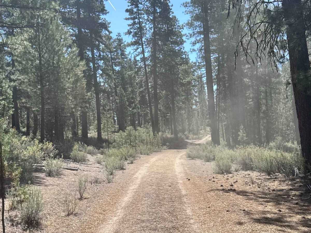 Dry Springs Trail - FS 4331000 trail photo