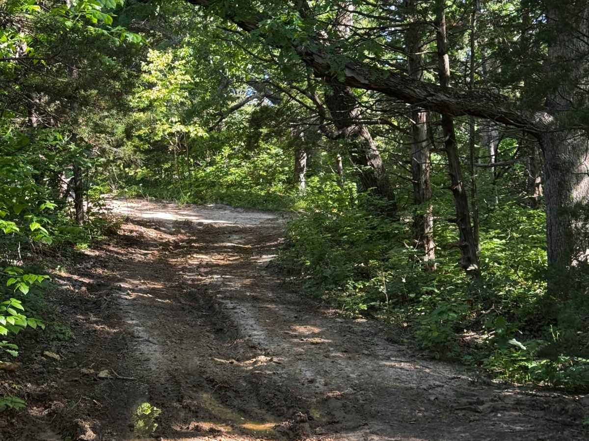 Inner Trail 14 photo 3