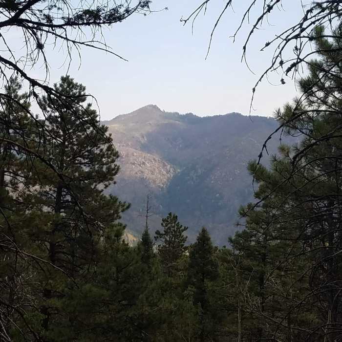 Near Mount Esther Trail #754