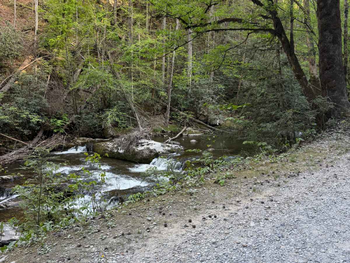 Tremont Road photo 4