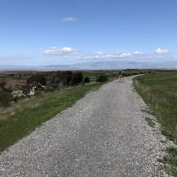 Near Adobe Creek Loop