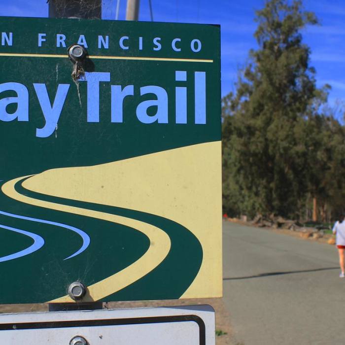 Near Napa River Bay Trail + Glass Beach