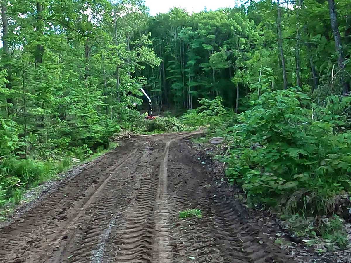 Celotex Spur trail photo