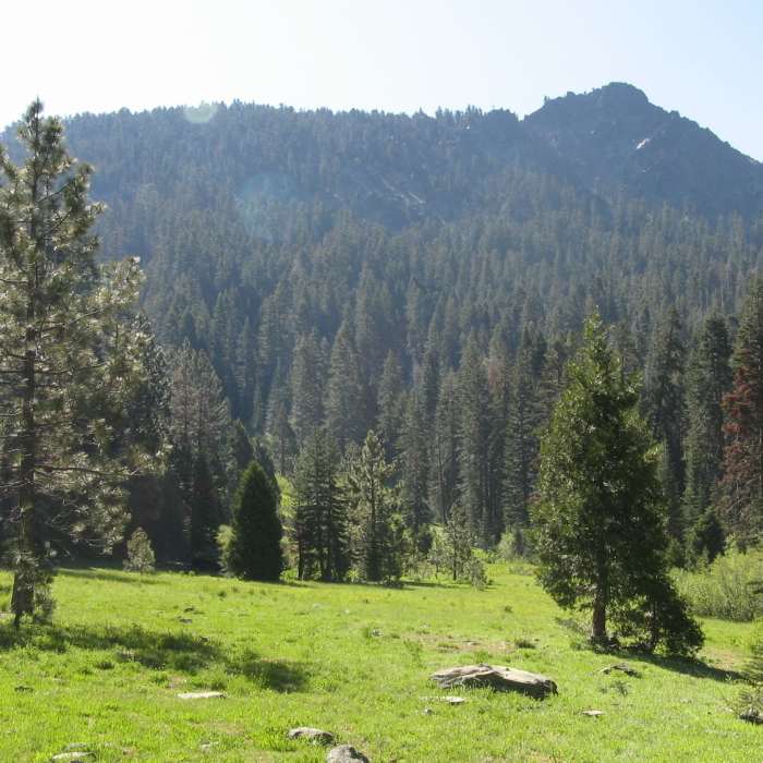Near Black Rock Lake Trail