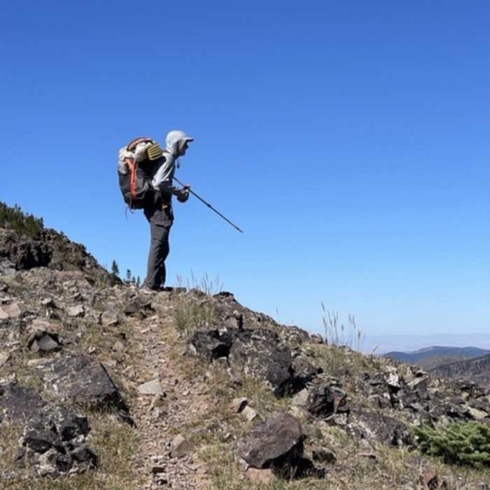 Near Gallatin Crest Trail