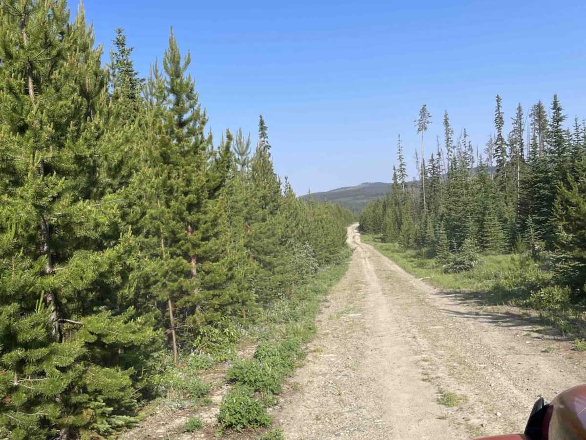 97C to Creighton Lake photo 3