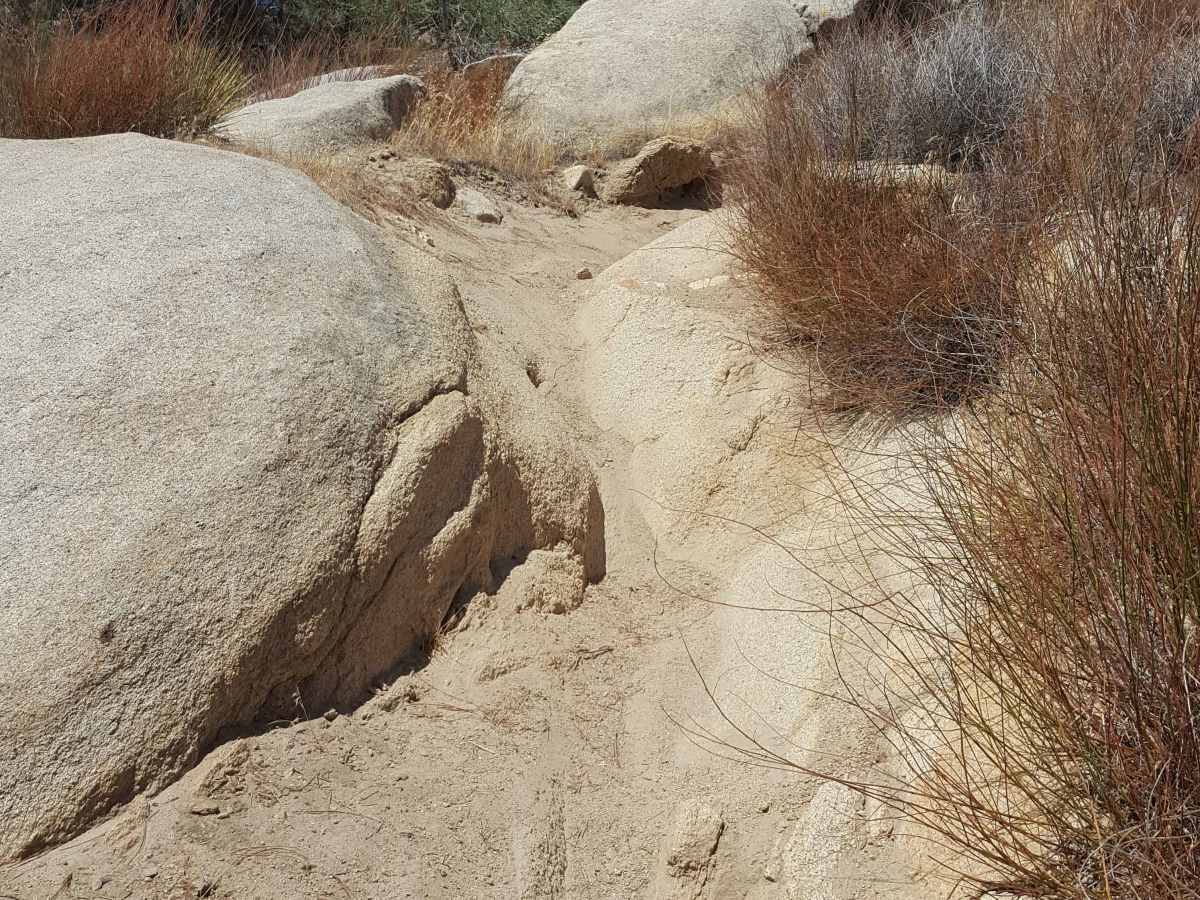 Dutch Flat Trail photo 2