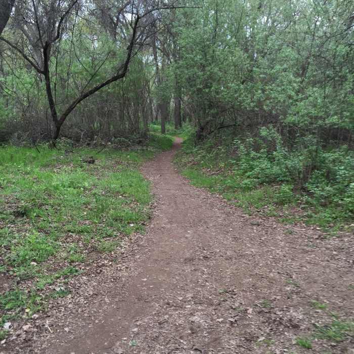 Near Bidwell Park - Lower Park Path
