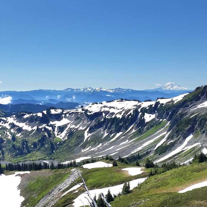 Near Summerland + Panhandle Gap