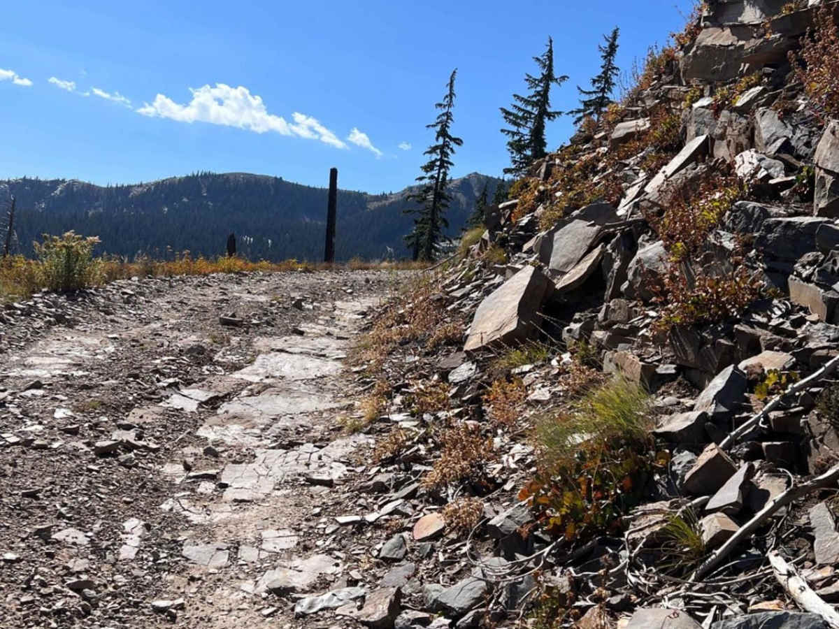 Pilgrim Creek Trail trail photo