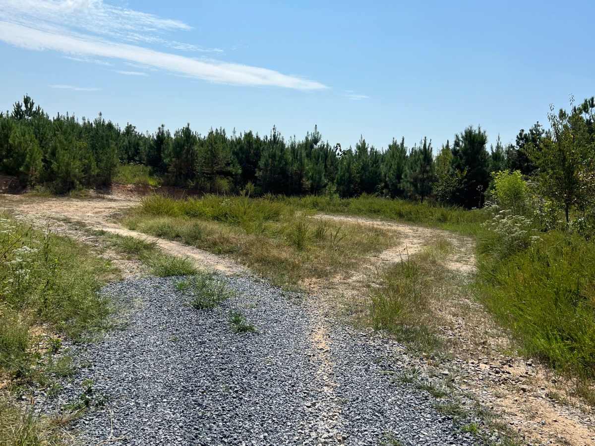Calbeck - FS 955E trail photo