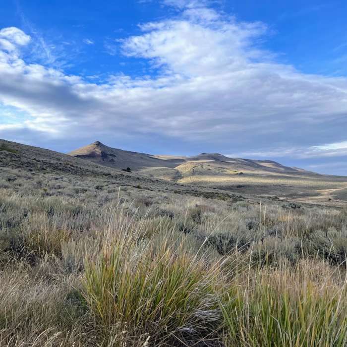 Near Hart Mountain Hot Springs Loop