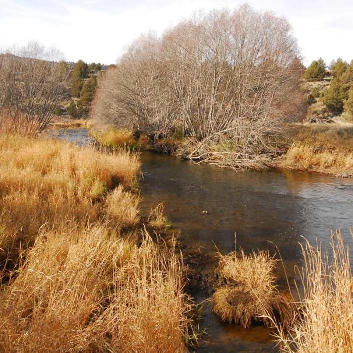Near Donner und Blitzen River Trail Hike Near Donner und Blitzen River Trail Hike